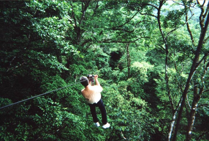 ../Images/Pete on Canopy Cable.jpg